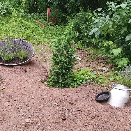 Jaegerhaus Apartment Nossen